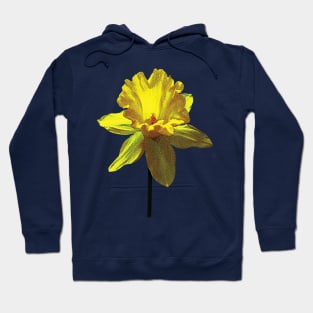 Daffodils - Daffodil Looking Up Hoodie